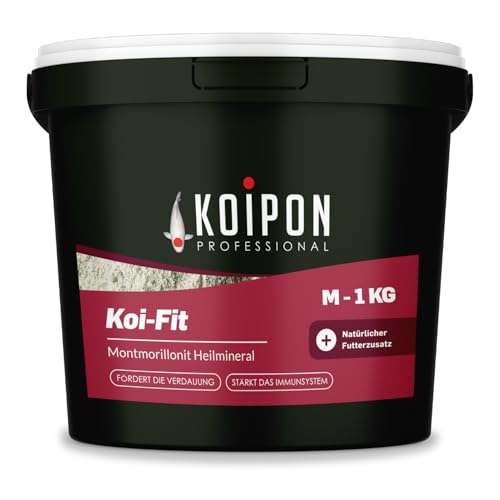 KOIPON Koi-Fit 1 kg Futteraufwertung für Koifutter und Goldfischfutter, Montmorrilonit Premium-Mineral zur Farbentwicklung und Gesunderhaltung von Fischen von KOIPON