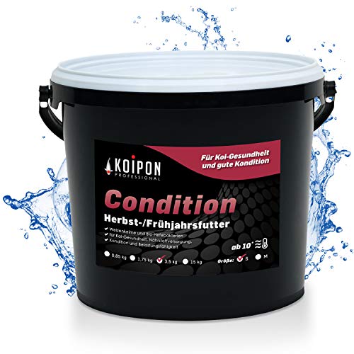 KOIPON Condition 3,5 kg 3mm Fischfutter Pellets Frühjahr & Herbst schwimmend, Teichfutter für japanische Koi, Koifutter als Goldfischfutter geeignet von KOIPON