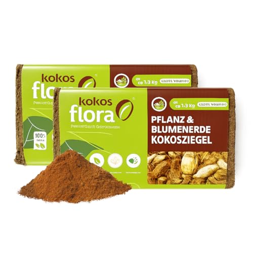 KOKOSFLORA 18L Kokoserde Ziegel 2 x 650 - Natürlich &Torffrei kokosfasern für Pflanzen Ideal für Innen und Außen - Topfpflanzen, Zimmerpflanzen, Balkonkästen, Gartenbeete. von KOKOSFLORA