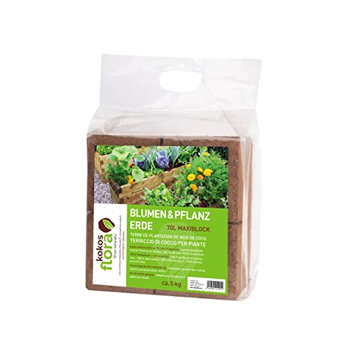 KOKOSFLORA Kokoserde – 70L Maxiblock – Blumenerde- Torffrei - Ideal Für Drinnen Und Draussen. Geeignet Für Kübelpflanzen, Zimmerpflanzen, Balkonkästen Und Gartenbeete (1 x 5 Kg - 70 L Kokoserde) von KOKOSFLORA