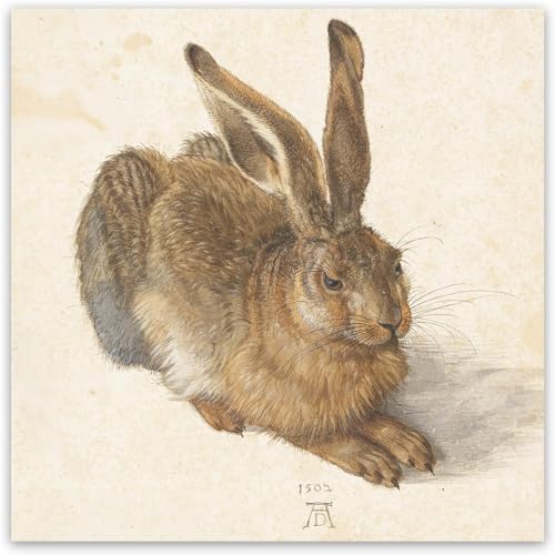 Albrecht Dürer Kaninchen Poster Tier Leinwand Wand Kunst Albrecht Dürer Gemälde Albrecht Dürer Druck Für Wohnzimmer Home Wand Dekor 50X50cm Kein Rahmen von KOLEV