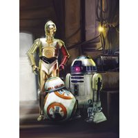 Fototapete Star Wars Three Droids 254 x 184 cm Fototapete - Komar von KOMAR