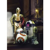 KOMAR Papiertapete »STAR WARS Three Droids«, Breite 184 cm - bunt KOMAR Papiertapete »STAR WARS Three Droids«, Breite 184 cm - bunt von KOMAR