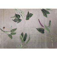 KOMAR Vliestapete, Blumen, bunt - gruen KOMAR Vliestapete, Blumen, bunt - gruen von KOMAR