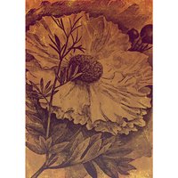 KOMAR Vliestapete, Blumen, bunt - rot KOMAR Vliestapete, Blumen, bunt - rot von KOMAR