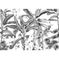 KOMAR Vliestapete, Blumen, bunt - schwarz KOMAR Vliestapete, Blumen, bunt - schwarz von KOMAR