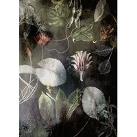 KOMAR Vliestapete, Blumen, bunt - schwarz KOMAR Vliestapete, Blumen, bunt - schwarz von KOMAR