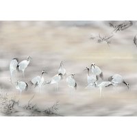 KOMAR Vliestapete, Vögel, bunt - weiss von KOMAR