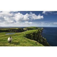 KOMAR Vliestapete »Green Ireland«, Breite 450 cm, seidenmatt - bunt KOMAR Vliestapete »Green Ireland«, Breite 450 cm, seidenmatt - bunt von KOMAR