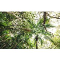 KOMAR Vliestapete »Touch the Jungle «, Breite 450 cm, seidenmatt - bunt von KOMAR