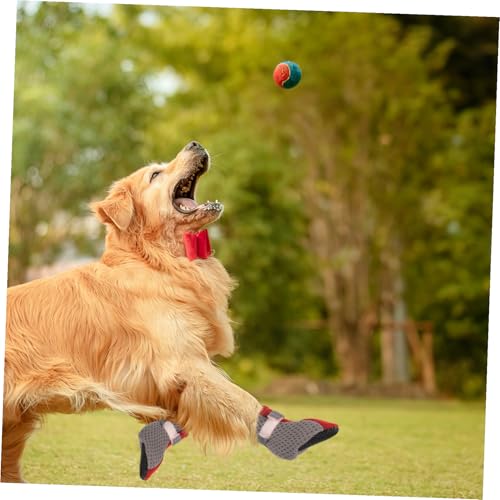 KOMBIUDA 4 Stück Teiliges Atmungsaktives Hundeschuh Weicher Rutschfester Sohle Pfotenfreundliche Netz haustierschuhe für Drinnen und Draußen Leichter Schutz für Kleine Hunde Wie und KOMBIUDA 4 Stück Teiliges Atmungsaktives Hundeschuh Weicher Rutschfester Sohle Pfotenfreundliche Netz haustierschuhe für Drinnen und Draußen Leichter Schutz für Kleine Hunde Wie und von KOMBIUDA