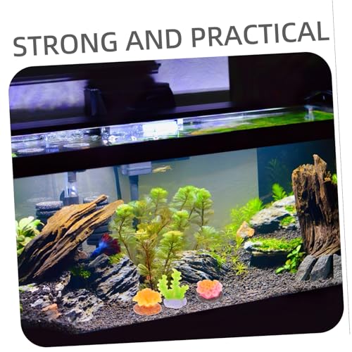 KOMBIUDA 6 Stück Teiliges Kleine Künstliche Korallen Aquarium Deko Realistische Bunte Korallen Nachbildung Leicht Kompakt für Süß Meerwasseraquarien Natürliche Unterwasserlandschaft von KOMBIUDA