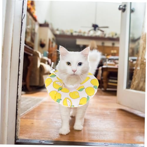 KOMBIUDA Einstellbarer Katzen Genesungshalsband mit Niedlichem Fruchtmuster Atmungsaktiver Strapazierfähiger Schutzkragen für Operation Verstellbarer Genesungskragen für Kätzchen und KOMBIUDA Einstellbarer Katzen Genesungshalsband mit Niedlichem Fruchtmuster Atmungsaktiver Strapazierfähiger Schutzkragen für Operation Verstellbarer Genesungskragen für Kätzchen und von KOMBIUDA