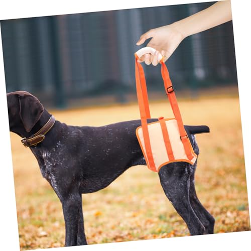 KOMBIUDA Haustierstützgurt für Hunde XL Verstellbares Atmungsaktives Hunderehabilitationsband Hintere Beinunterstützung für Ältere und Verletzte Hunde Bequemes Hautfreundliches Material von KOMBIUDA