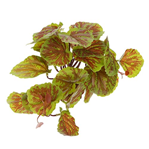 KOMBIUDA Künstliche Pflanze Terrarium Dekoration Fake Plant für Reptilien Schildkröten und Aquarium Naturgetreue Landschafts Deko Robust und Pflegeleicht für Tierhaltung KOMBIUDA Künstliche Pflanze Terrarium Dekoration Fake Plant für Reptilien Schildkröten und Aquarium Naturgetreue Landschafts Deko Robust und Pflegeleicht für Tierhaltung von KOMBIUDA