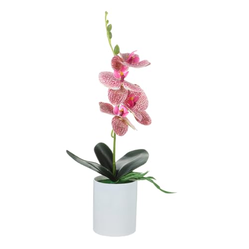 KOMBIUDA Künstlicher Spargel Mini-künstliche Sukkulenten Simulation Einer Topfpflanze Bonsai-Topf Gefälschter Pflanzer Falsche Gefälschter Pflanzenbonsai 3D Plastik Orchidee Blumen von KOMBIUDA