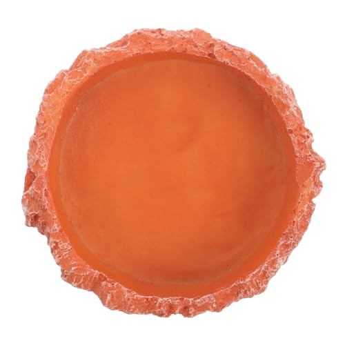 KOMBIUDA Reptilien Futternapf aus Langlebigem Resin rutschfeste Wasserschale für Schildkröten Geckos Kleine Reptilien Leichtes Futter und Trinkgefäß für Terrarium KOMBIUDA Reptilien Futternapf aus Langlebigem Resin rutschfeste Wasserschale für Schildkröten Geckos Kleine Reptilien Leichtes Futter und Trinkgefäß für Terrarium von KOMBIUDA