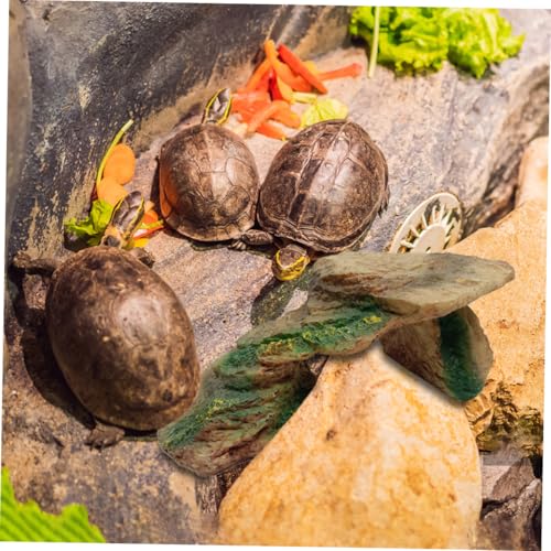 KOMBIUDA Schildkröten Kletterfelsen aus Resin Große Reptilien Basking Plattform Natürlicher Look Terrarium Dekoration und Versteck für Box Turtle Habitat und Reptilien Gehege Zubehör KOMBIUDA Schildkröten Kletterfelsen aus Resin Große Reptilien Basking Plattform Natürlicher Look Terrarium Dekoration und Versteck für Box Turtle Habitat und Reptilien Gehege Zubehör von KOMBIUDA