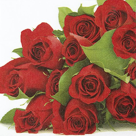 20 Servietten Bunch of Roses Unz?hlige rote Rosen/Blumen/Liebe/Hochzeit 33x33cm von KOMIRO