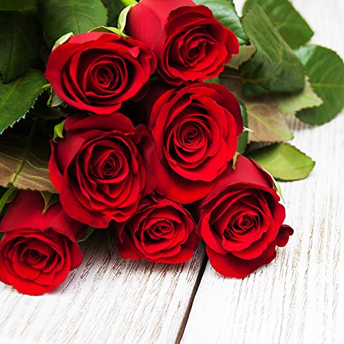 20 Servietten Rote Eleganz/Rosen/rot/Blumen/Hochzeit 33x33cm von KOMIRO