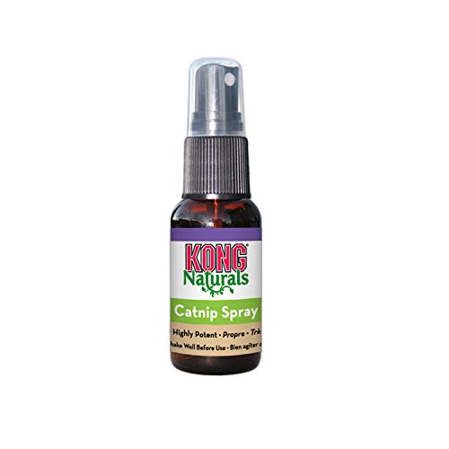 KONG – Naturals Catnip Spray für Katzen – 30 ml (1 Fluid Ounce) von KONG