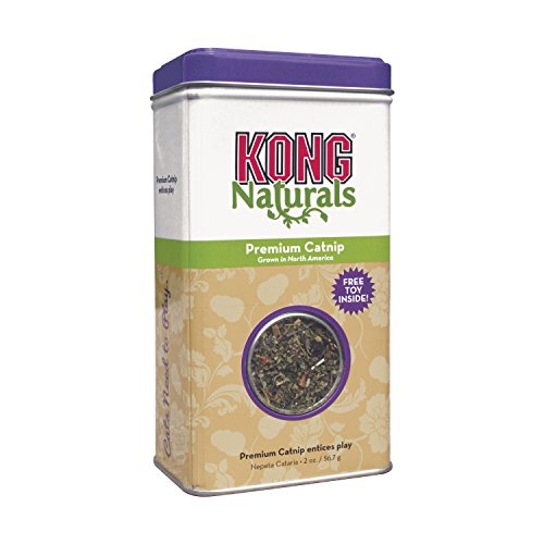 KONG – Naturals Premium Catnip – Premiumqualität aus Nordamerika – 57 g (2 oz) von KONG