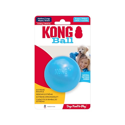 KONG Puppy Ball with Hole Natural Rubber Formula Chewable Dog Toy Medium Large von KONG