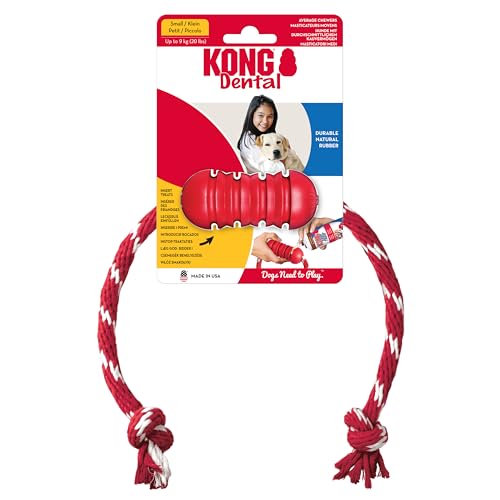 KONG Dental mit Seil - Für die Zahnpflege von Hunden - Befüllbares Kauspielzeug - Reinigt Zähne und Zahnfleisch - Für Kleine Hunde KONG Dental mit Seil - Für die Zahnpflege von Hunden - Befüllbares Kauspielzeug - Reinigt Zähne und Zahnfleisch - Für Kleine Hunde von KONG