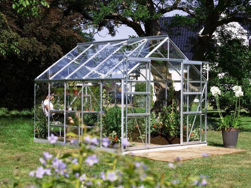 KONIFERA Gewächshaus Calisto 8300, BxTxH: 257 x 321 x 232 cm, 3 mm Wandstärke, Set, mit Fundamentrahmen, Sicherheitsglas von KONIFERA