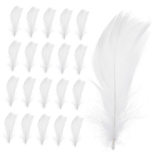 KONTONTY 100 Stück Federn für DIY Bastelprojekte für Hochzeitsdekoration Kindergarten Bastelbedarf und Zubehör Vielseitige Bastelmaterialien für Ideen KONTONTY 100 Stück Federn für DIY Bastelprojekte für Hochzeitsdekoration Kindergarten Bastelbedarf und Zubehör Vielseitige Bastelmaterialien für Ideen von KONTONTY