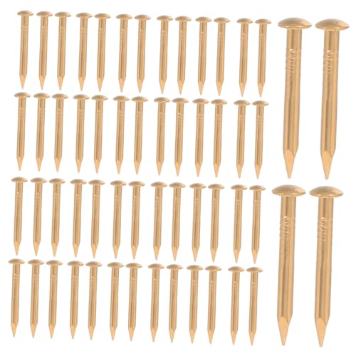 KONTONTY 100 Stück Messing Nägel Runde Kopf Ziernägel für Möbel DIY Kleine Verkleidungsnägel Handwerk Zubehör für Scharniere Holzboxen KONTONTY 100 Stück Messing Nägel Runde Kopf Ziernägel für Möbel DIY Kleine Verkleidungsnägel Handwerk Zubehör für Scharniere Holzboxen von KONTONTY