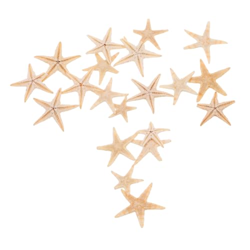 KONTONTY 20stücke Mini- Deko Für Kerzen Epoxidharz Natürliche Strandaccessoires Für Hochzeits Und Ocean- Deko KONTONTY 20stücke Mini- Deko Für Kerzen Epoxidharz Natürliche Strandaccessoires Für Hochzeits Und Ocean- Deko von KONTONTY