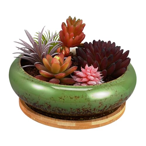 KONTONTY Kreativer Sukkulenten Pflanztopf Aus Großer Runder Übertopf Mit Drainageloch Und Untersetzer Für Zimmerpflanzen Ideal Für Dekoration Im Garten Und Zuhause von KONTONTY