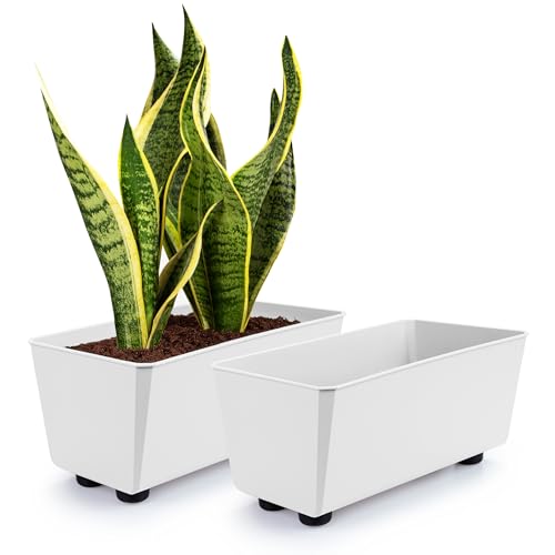 KONZEPT 2er Set Blumentöpfe mit Füßen, rechteckig – kleine Blumenkästen 4,2 L, Übertöpfe ideal für Fensterbank & Zimmerpflanzen von KONZEPT