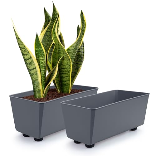 KONZEPT 2er Set Blumentöpfe mit Füßen, rechteckig – kleine Blumenkästen 4,2 L, Übertöpfe ideal für Fensterbank & Zimmerpflanzen KONZEPT 2er Set Blumentöpfe mit Füßen, rechteckig – kleine Blumenkästen 4,2 L, Übertöpfe ideal für Fensterbank & Zimmerpflanzen von KONZEPT