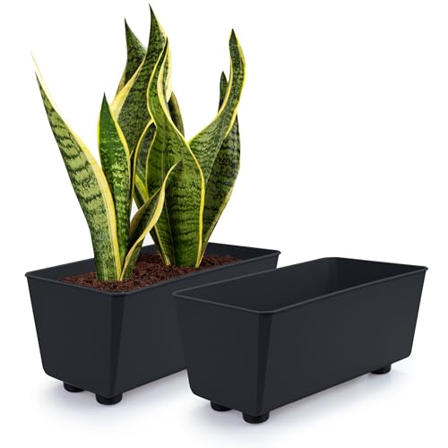 KONZEPT 2er Set Blumentöpfe mit Füßen, rechteckig – kleine Blumenkästen 4,2 L, Übertöpfe ideal für Fensterbank & Zimmerpflanzen KONZEPT 2er Set Blumentöpfe mit Füßen, rechteckig – kleine Blumenkästen 4,2 L, Übertöpfe ideal für Fensterbank & Zimmerpflanzen von KONZEPT