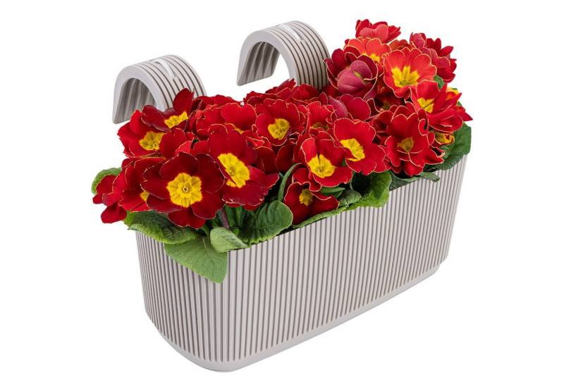 KONZEPT Balkonkasten Blumenkasten mit Halterung – 29 x 19 cm, Balkonkasten für Geländer, 3,2 L aus wetterfestem Kunststoff von KONZEPT