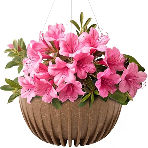 KONZEPT Blumenampel hängend außen und innen in Braun, Blumentopf 30cm Durchmesser, Hängetopf für Pflanzen aus Kunststoff KONZEPT Blumenampel hängend außen und innen in Braun, Blumentopf 30cm Durchmesser, Hängetopf für Pflanzen aus Kunststoff von KONZEPT