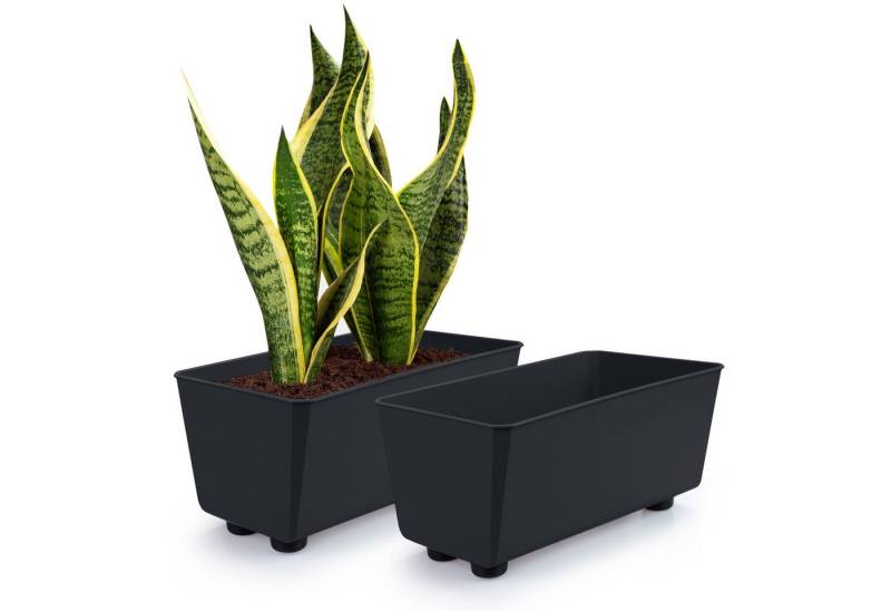 KONZEPT Blumenkasten Blumentöpfe mit Füßen, rechteckig – kleine Blumenkästen 4,2 L (2 St), 284x168x173 mm, ideal für Fensterbank & Zimmerpflanzen von KONZEPT