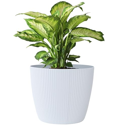 KONZEPT Blumentopf 5,2 l, gerillte Struktur 22 cm, Übertöpfe für Zimmerpflanzen aus Kunststoff ideal für Wohnzimmer, Küche und Balkon KONZEPT Blumentopf 5,2 l, gerillte Struktur 22 cm, Übertöpfe für Zimmerpflanzen aus Kunststoff ideal für Wohnzimmer, Küche und Balkon von KONZEPT