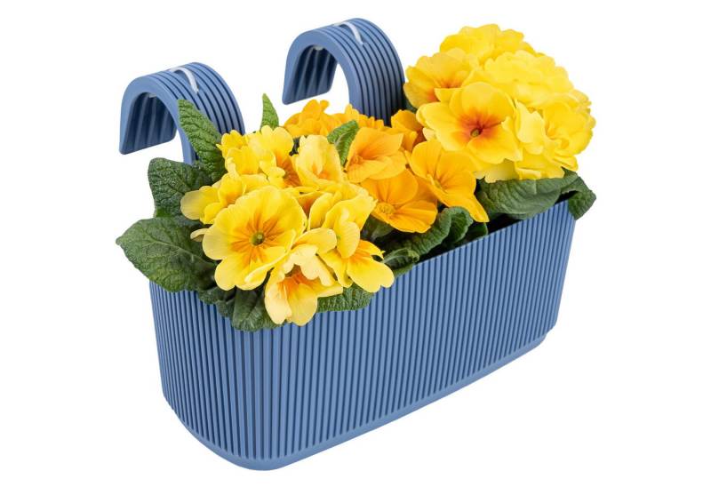 KONZEPT Balkonkasten Blumenkasten mit Halterung – 29 x 19 cm, Balkonkasten für Geländer, 3,2 L aus wetterfestem Kunststoff KONZEPT Balkonkasten Blumenkasten mit Halterung – 29 x 19 cm, Balkonkasten für Geländer, 3,2 L aus wetterfestem Kunststoff von KONZEPT