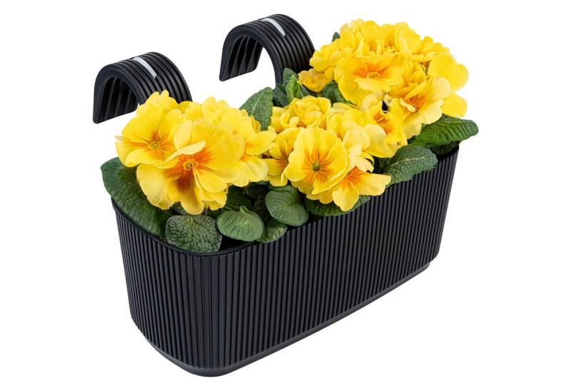 KONZEPT Balkonkasten Blumenkasten mit Halterung – 29 x 19 cm, Balkonkasten für Geländer, 3,2 L aus wetterfestem Kunststoff von KONZEPT