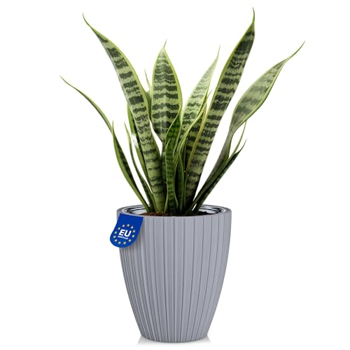 KONZEPT Blumentopf mit Einsatz, 29 cm Durchmesser, Übertopf in Silber, Pflanzentopf Geriffelt von KONZEPT
