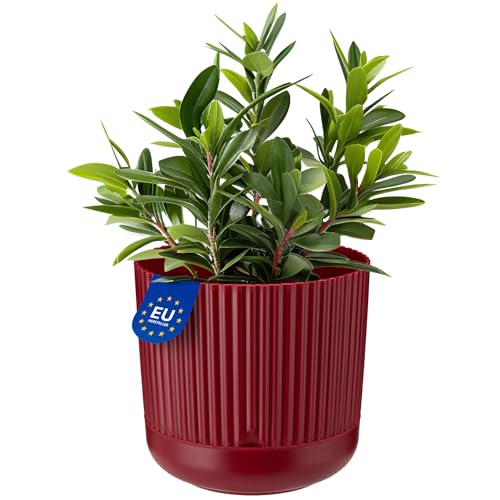 KONZEPT Blumentopf mit Untersetzer, 16 cm Durchmesser, Übertopf in Weinrot, 2,4 L, Pflanzentopf Geriffelt aus Kunstoff von KONZEPT