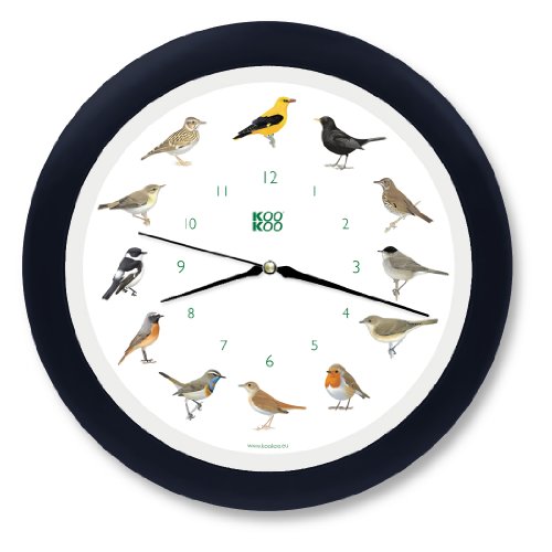 KOOKOO Singvögel Quarzwerk Schwarz-Blau, Die Singende Vogeluhr, runde Wanduhr mit natürlichen Vogelstimmen von KOOKOO