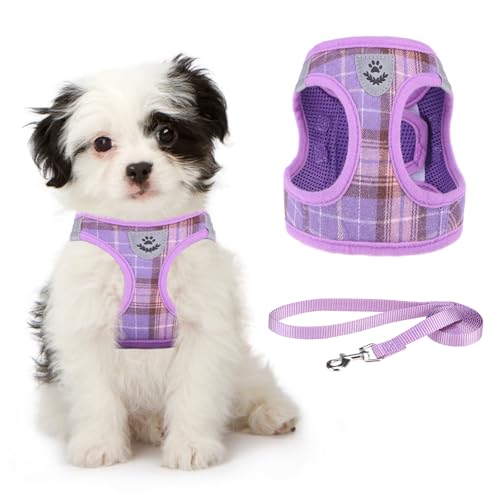 KOOLTAIL Weiches Mesh-Hundegeschirr und Leine, Set, verstellbares und bequemes Geschirr mit reflektierendem Design für Welpen und kleine Rassen, Hunde, für Spaziergänge im Freien (Lila) von KOOLTAIL