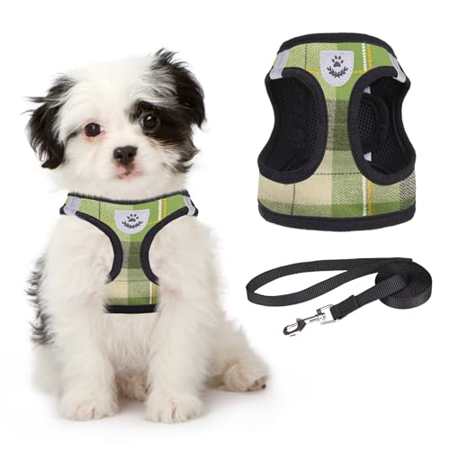 Weiches Netz-Plaid Welpengeschirr ¨C Kleines Hundegeschirr und Leine-Set, verstellbares und bequemes Geschirr mit reflektierendem Design f¨¹r Welpen und kleine Rassen, f¨¹r Outdoor-Spazierg?nge Weiches Netz-Plaid Welpengeschirr ¨C Kleines Hundegeschirr und Leine-Set, verstellbares und bequemes Geschirr mit reflektierendem Design f¨¹r Welpen und kleine Rassen, f¨¹r Outdoor-Spazierg?nge von KOOLTAIL