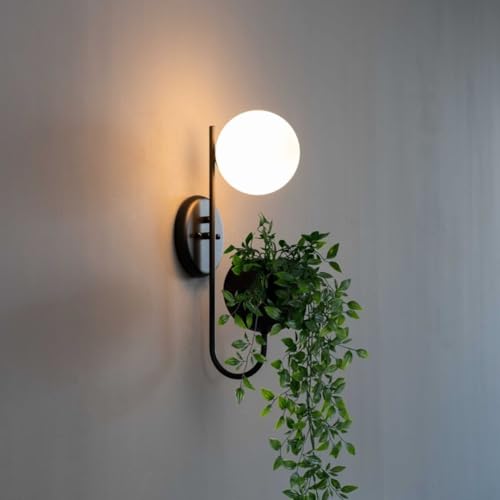 Kosilum – Wandleuchte für Zimmerpflanzen, Design – Florida – warmweißes Licht Beleuchtung Wohnzimmer Schlafzimmer Küche Flur – 1 x max 5 W – 300 lm – G9 – IP20 von KOSILUM
