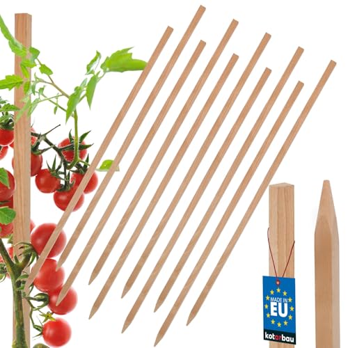 KOTARBAU® 10er Set Tomatenstäbe Pflanzstäbe 60 cm Zaunpfahl Holzpfosten Holzpflock angespitzt Pflanzenstütze Zaunpfosten Rankhilfe Holzpflanzenstäbe zur Stabilisierung Pflanzenstützen von KOTARBAU