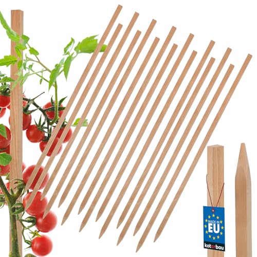 KOTARBAU® 15er Set Tomatenstäbe Pflanzstäbe 50 cm Zaunpfahl Holzpfosten Holzpflock angespitzt Pflanzenstütze Zaunpfosten Rankhilfe Holzpflanzenstäbe zur Stabilisierung Pflanzenstützen von KOTARBAU